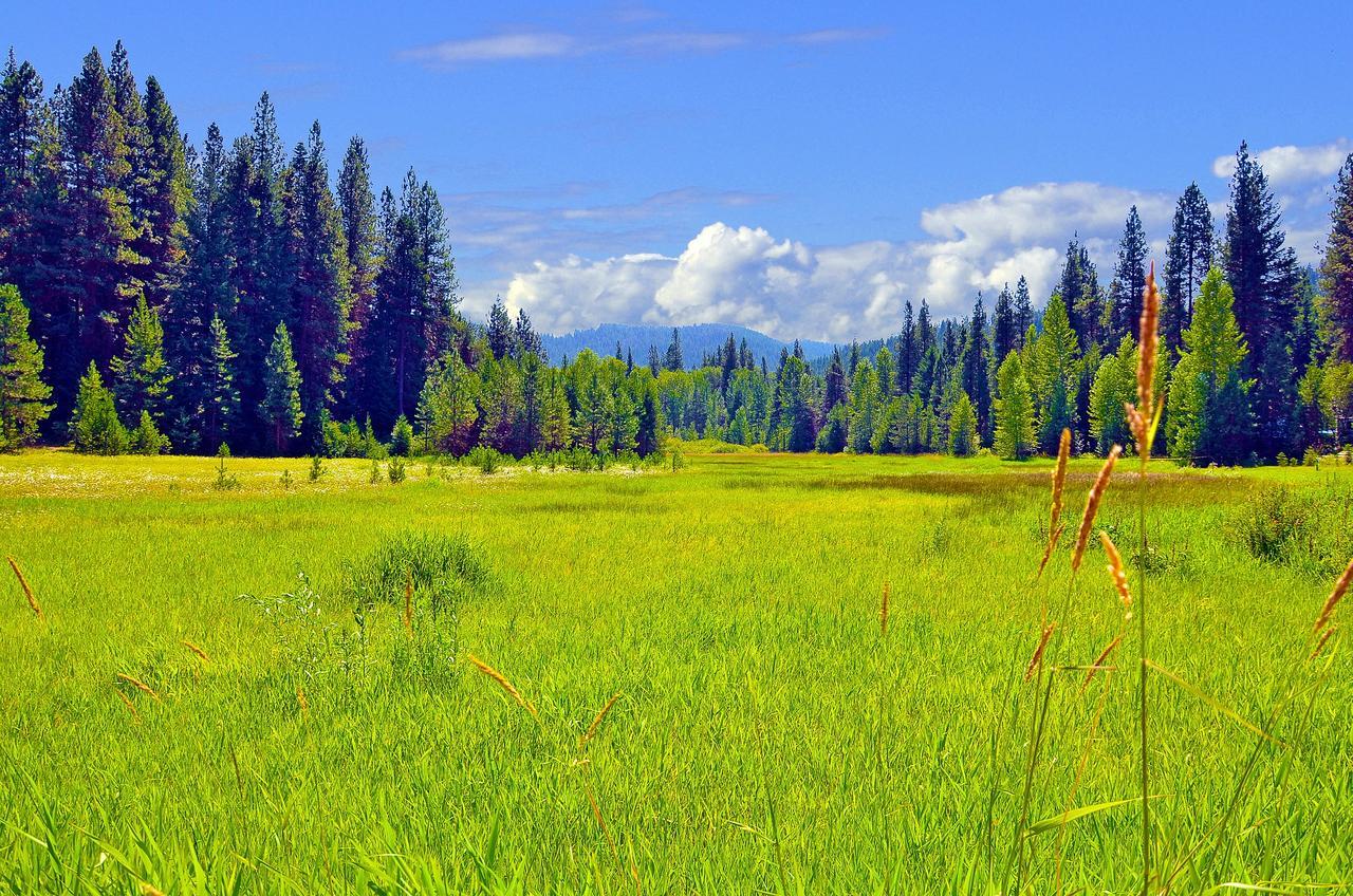 Leavenworth Camping Resort Tiny House Belle Экстерьер фото